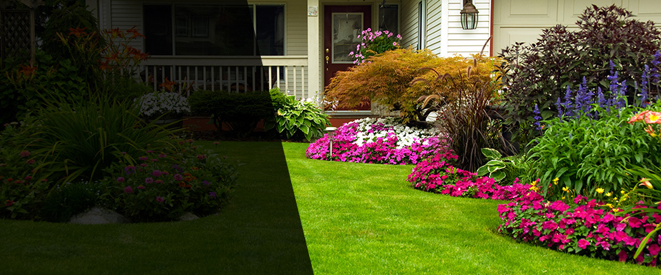Courtland Landscapers